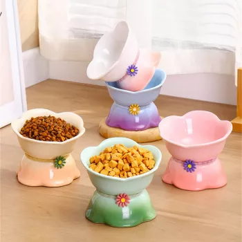 Elevated Ceramic Pet Bowl: Cute, Stable & Anti-Spill