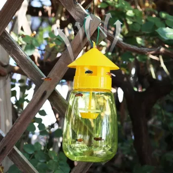 Fruit Fly Trap Kit: Placement, Care & Fast Results